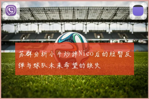 苏群分析小牛炒掉Nico后的短暂反弹与球队未来希望的缺失