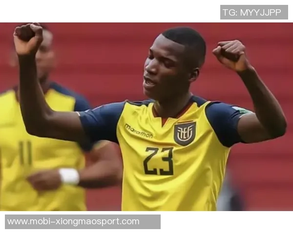 厄瓜多尔主帅透露凯塞多伤情严重卡皮耶出战前景堪忧