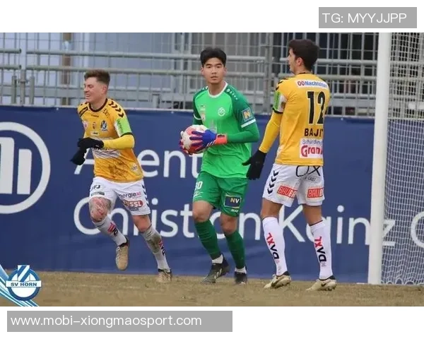 国安俱乐部遭遇无限期转会注册禁令新员转会注册将暂时受限 国安俱乐部遭遇无限期转会注册禁令新员转会注册将暂时受限