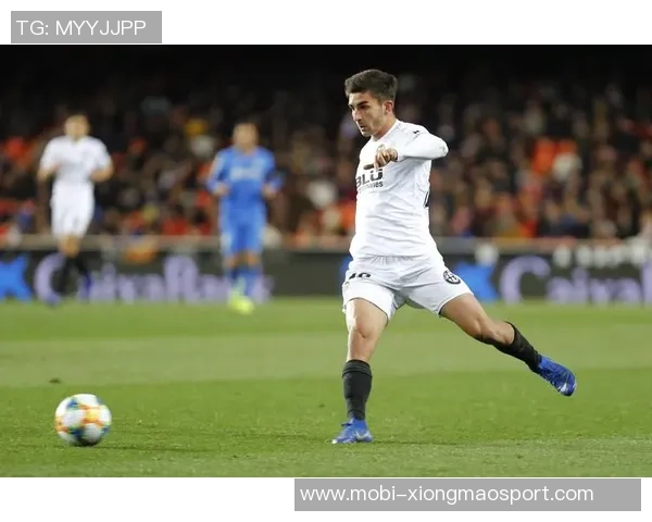 费兰回应社媒负评称躲在屏幕后打字太简单不予理会 费兰回应社媒负评称躲在屏幕后打字太简单不予理会